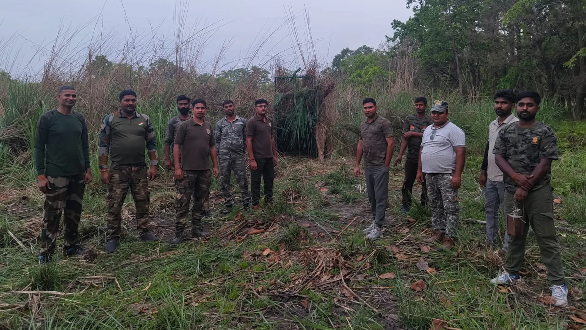 पीलीभीत: निगरानी के बीच फिर वन विभाग की आंखों से ओझल हुई लंगड़ाती बाघिन