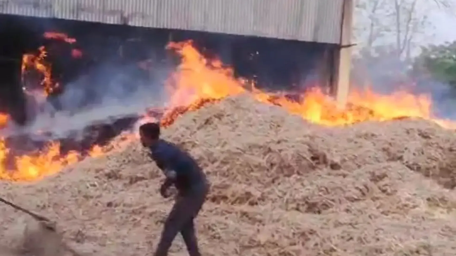 लखीमपुर खीरी: बंदर की करतूत से फैक्ट्री में लगी भीषण आग, कड़ी मशक्कत के बाद पाया काबू