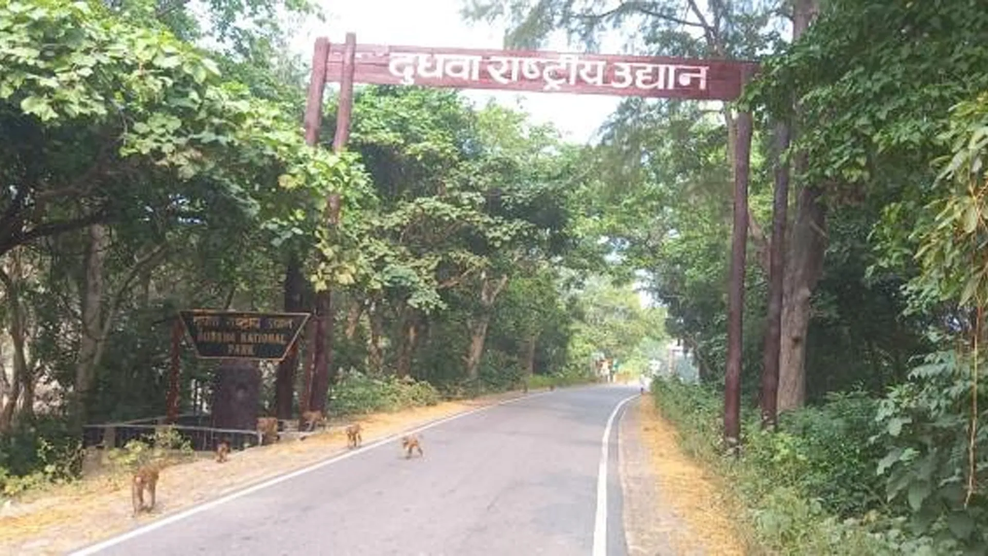 लखीमपुर खीरी : मंगलवार को दुधवा तो बुधवार को किशनपुर सेंचुरी पर्यटकों के लिए रहेगा बंद