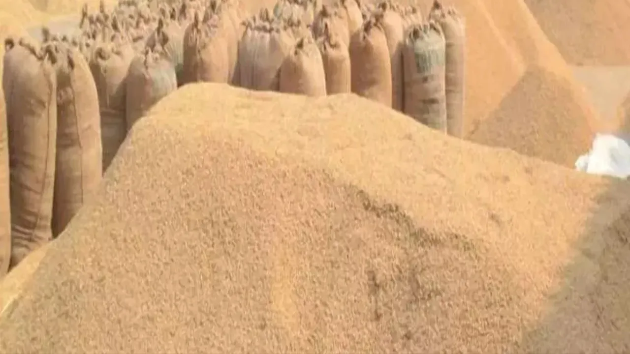 UP धान खरीद घोटाला: लेखपाल, एसडीएम और एडीएम पर भी गिरेगी गाज, एसआईटी की जांच में लगभग 40 क्रय केन्द्रों पर खरीद में मिली हेराफेरी