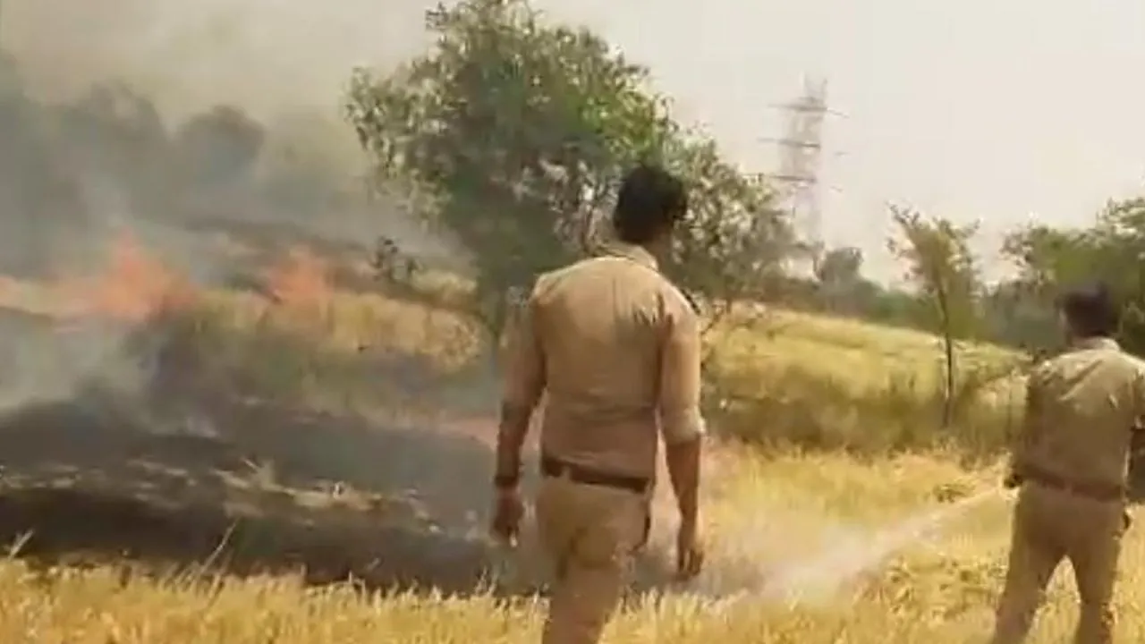 कानपुर में गेंहू की फसल में लगी आग: ऊंची-ऊंची लपटें उठती देख मचा हड़कंप, फायर ब्रिगेड ने पाया काबू