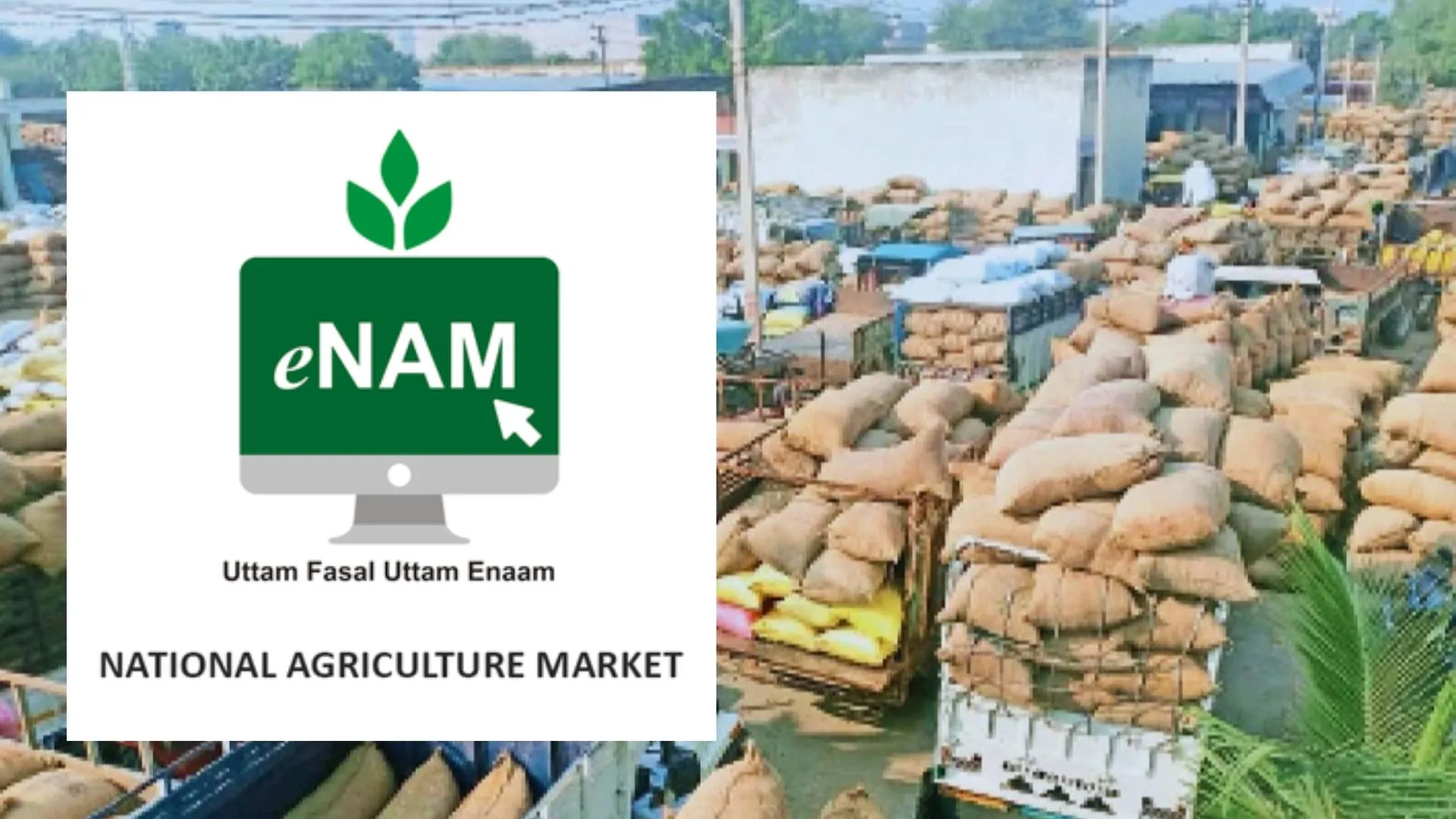 E-NAM से जुड़ी 37 मंडी, कृषि बाजार में डिजिटलीकरण से सीधे होगा कारोबार