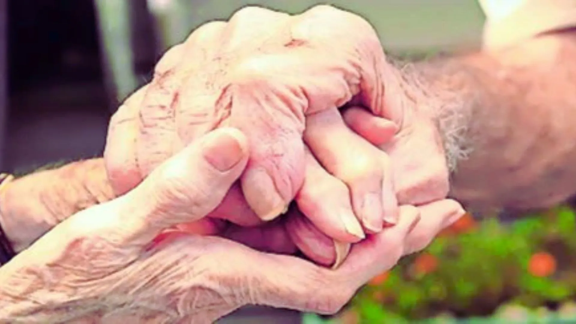 चौथी बड़ी इकोनॉमी... बुजुर्गों ने दिया GDP में 3% का योगदान,  वित्त वर्ष 2023-24 अध्ययन में आया सामने 