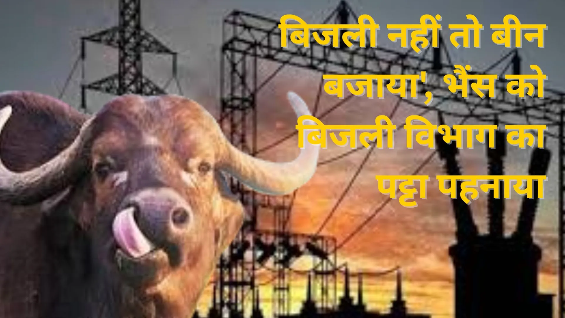 'बिजली नहीं तो बीन बजाया', भैंस को बिजली विभाग का पट्टा पहनाया, प्रदर्शन का अपनाया अनोखा अंदाज 