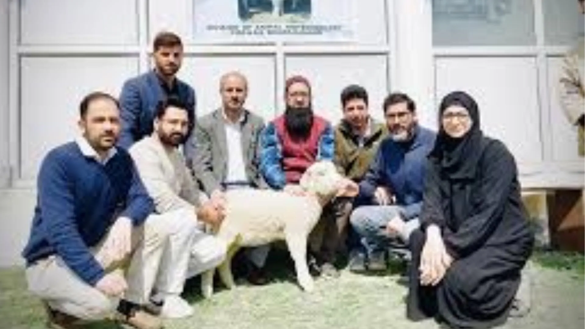 भारत की पहली नूरी' क्लोन पश्मीना भेड़ तैयार, SKUAST-कश्मीर के Researchers ने किया ये कमाल 