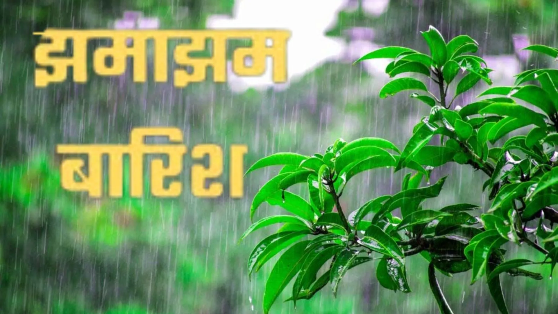 यूपी मौसम : अगले दो दिन तूफानी बारिश के साथ बिजली गिरने का अलर्ट, इन जिलों में मौसम बरपाएगा कहर 