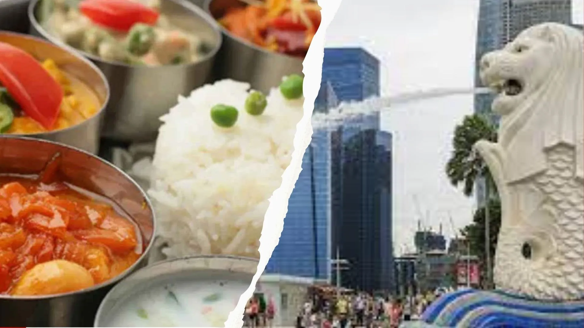 भारतवंशियो ने बढ़ाया देश का मान, सिंगापुर में Free Meal से भर चुके हैं लाखों प्रवासियों का पेट 