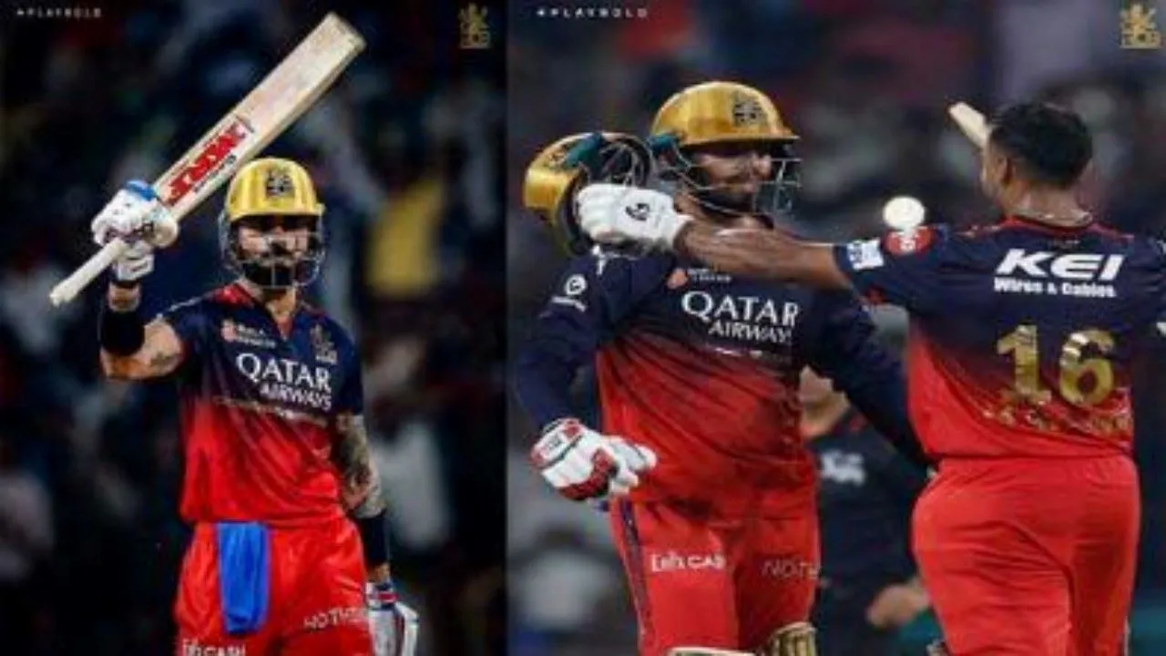 पंत पर विराट और जितेश का बल्ला रहा भारी, आरसीबी क्वालीफायर वन में भिड़ेगी पंजाब से