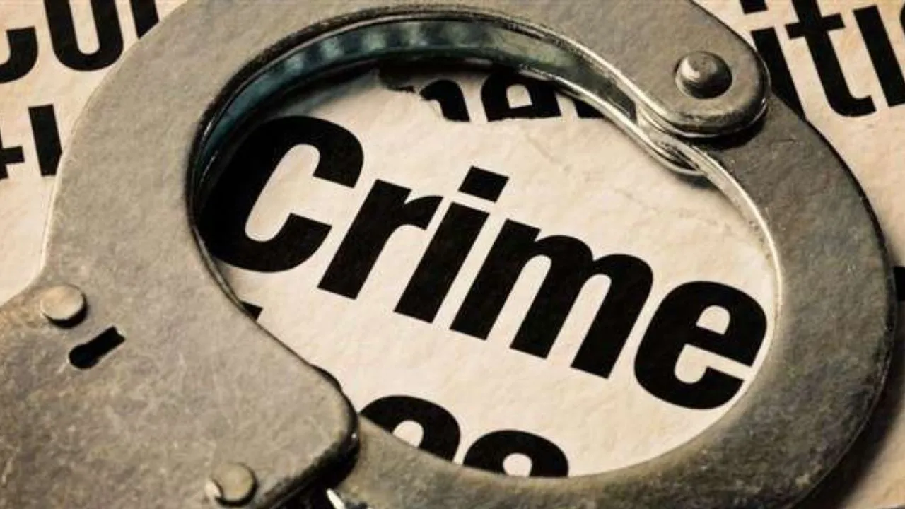 बाबरी बरसी पर विवादित वीडियो: मेरठ में महिला डॉक्टर गिरफ्तार, बाद में मिली जमानत  