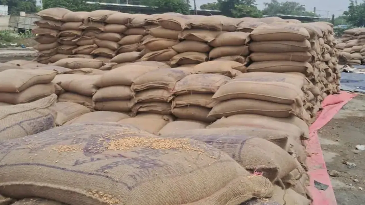 प्रयागराज : अफसरों की लापरवाही, 15 हजार बोरा गेहूं भींगा, पंजाब से आया था अनाज