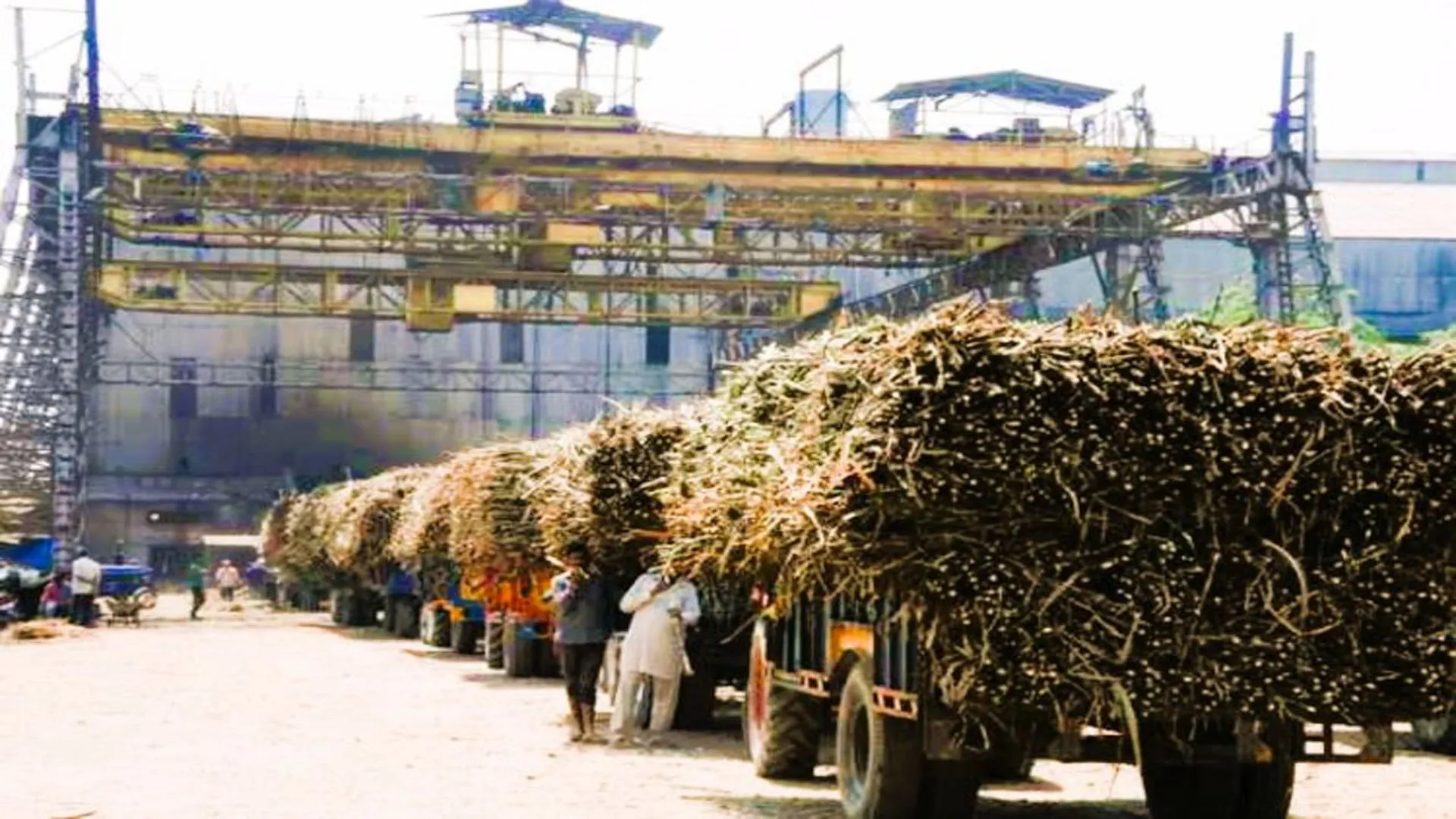 चीनी मिल प्रबंधकों की लापरवाही...बरेली, शाहजहंपुर, पीलीभीत की मिलों को आरसी जारी