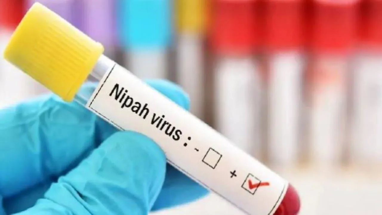 केरल में निपाह वायरस की वापसी? महिला में दिखे गंभीर लक्षण, अस्पताल में चल रहा इलाज