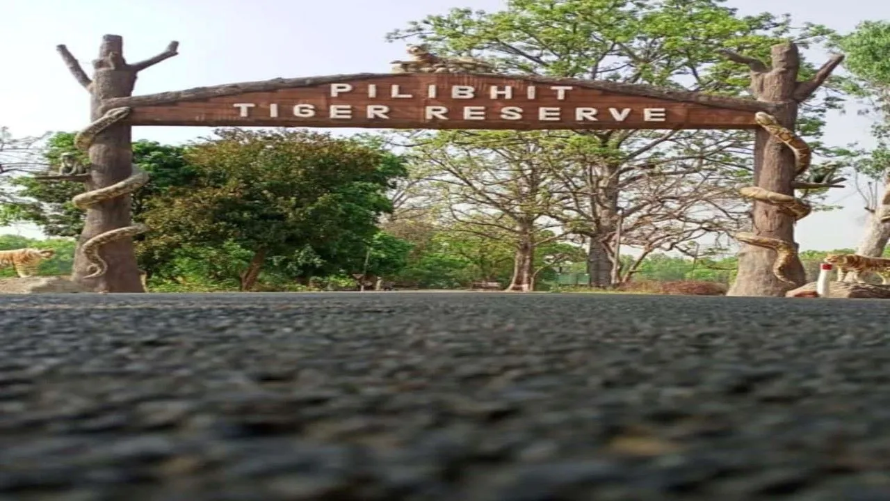 पीलीभीत: बराही गेट को मिली अनुमति तो बढ़ सकता है मानव-वन्यजीव संघर्ष, अफसर कर रहे मंथन..जानिए पूरा मामला