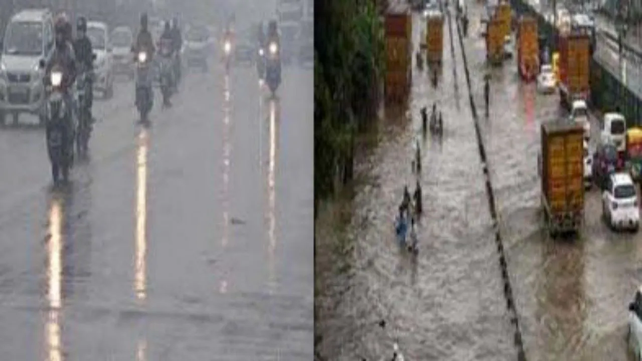 उत्तर भारत में बारिश ने ढाया कहर, सात लोगों की मौत, दिल्ली-एनसीआर में कई जगह पेड़ गिरे 