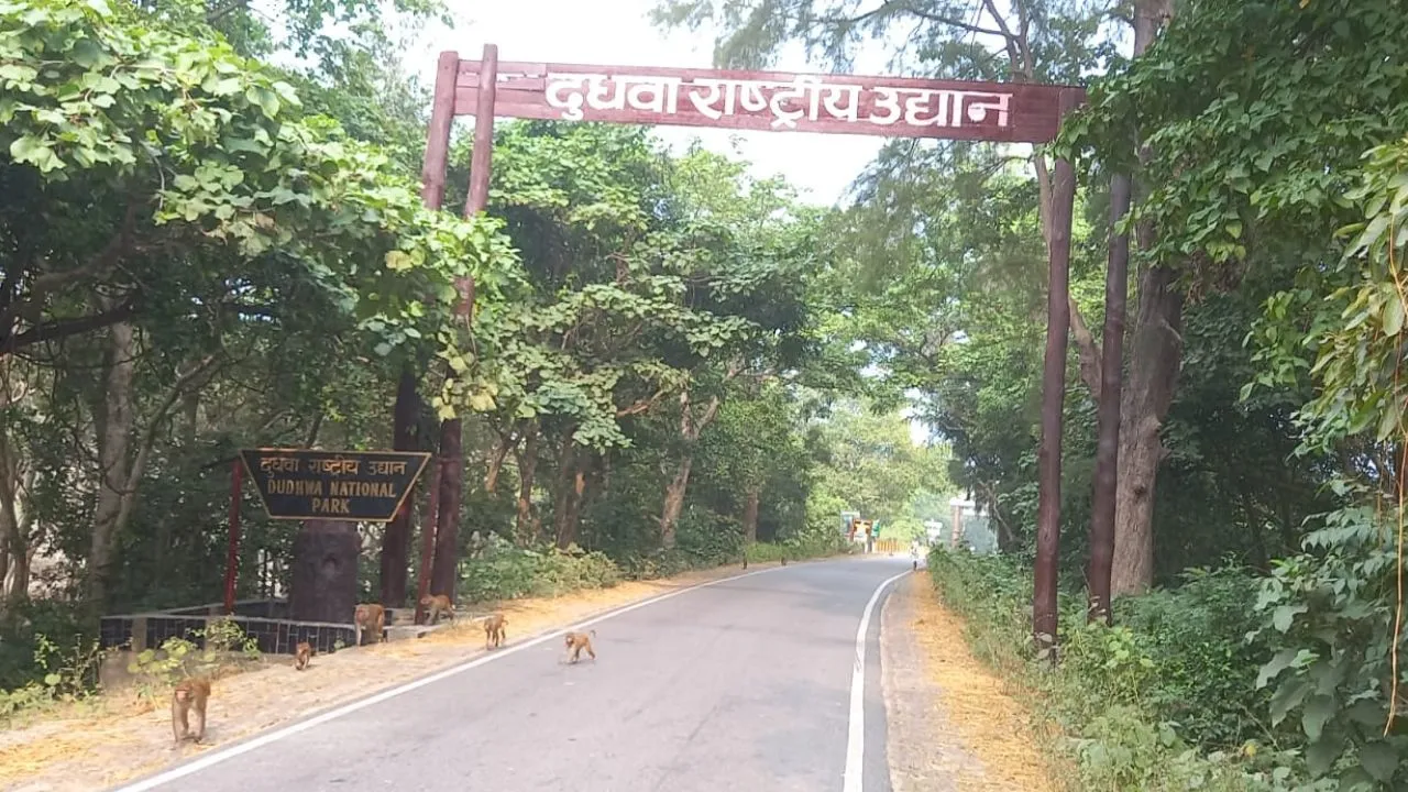 लखीमपुर: बर्ड फ्लू को लेकर दुधवा में हाई अलर्ट, गांवों में भी विभाग रख रहा नजर