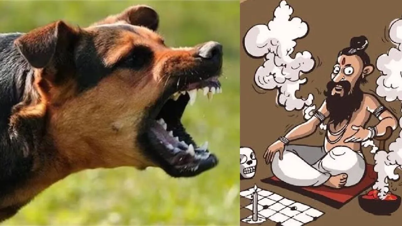 बरेली: कुत्ते ने काटा तो इलाज की जगह कराया झाड़- फूंक, बच्ची की हालत गंभीर