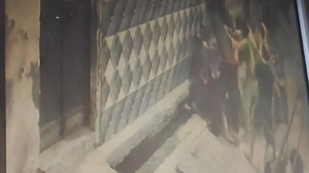 मुरादाबाद: उधारी के विवाद पर दो पक्षों में जमकर मारपीट, महिलाएं भी हुईं शामिल, वीडियो वायरल