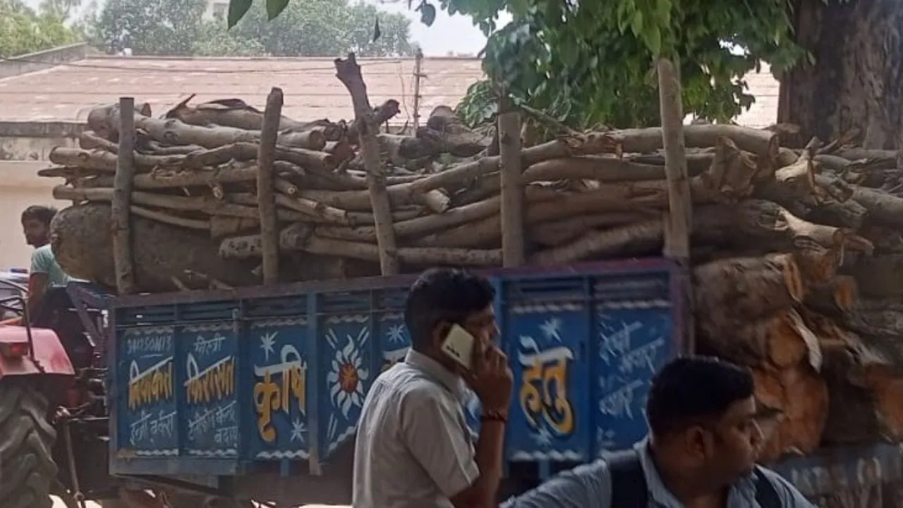 बदायूं: अवैध कटान रोकने को वन विभाग का अभियान शुरू, पहले दिन मिली बड़ी सफलता