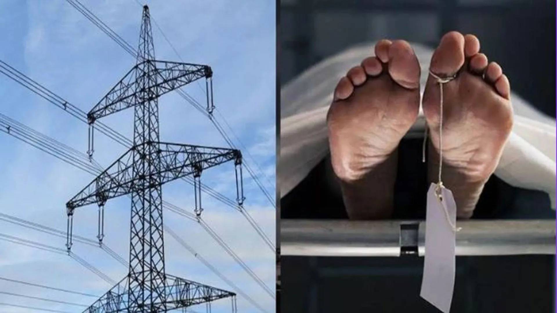 संभल: मक्का के खेत पर HT लाइन टूटकर गिरी...झुलसकर महिला की मौत