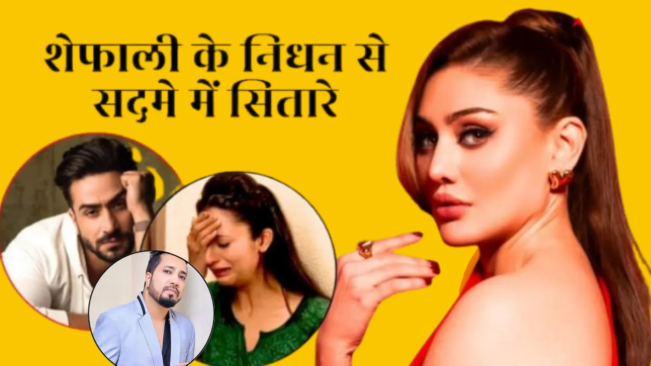 शेफाली जरीवाला के निधन से सदमे में सितारे, अली गोनी से लेकर मीका सिंह तक ने दी श्रद्धांजलि