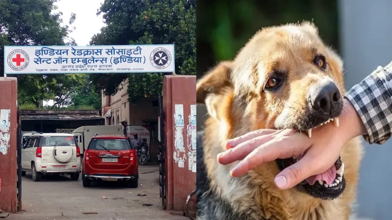 UP NEWS: परेशान मरीज... मौज में CHC कर्मी, एंटी रैबीज वैक्सीन के लिए मरीजों को भटका रहे स्वास्थ्य कर्मचारी, भेज रहे जिला अस्पताल
