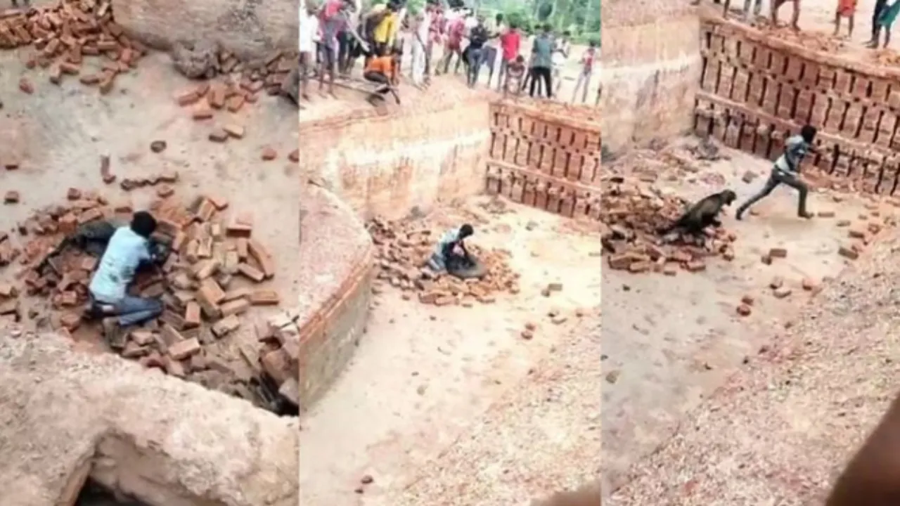 Lakhimpur kheri: तेंदुए से भिड़ा युवक, देखें जान बचाने के संघर्ष की वीडियो, हमले में पांच लोग घायल