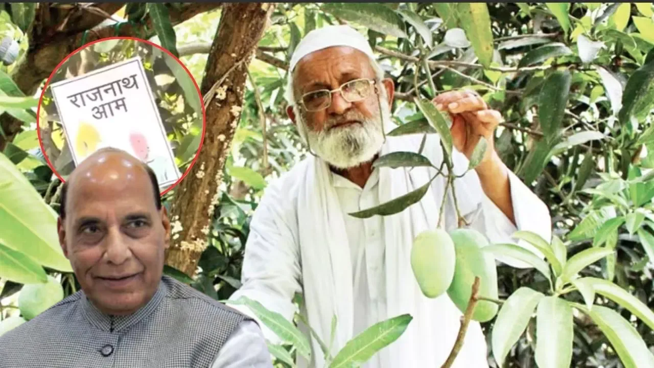 लखनऊ में आया ‘राजनाथ आम’, ग्राफ्टिंग की मदद से तैयार हुआ रक्षा मंत्री के नाम पर नए किस्म का आम
