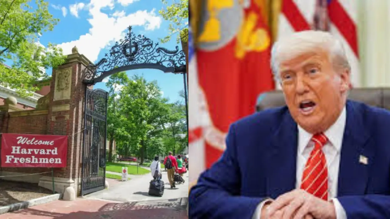 हार्वर्ड में विदेशी छात्रों की नो एंट्री! यूनिवर्सिटी ने राष्ट्रपति ट्रंप के आदेश को दी चुनौती, कहा- सरकार कर रही छात्रों के भविष्य से खिलवाड़