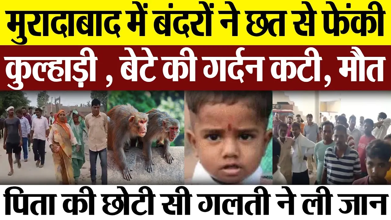 Moradabad News : मुरादाबाद में बंदरों ने छत से फेंकी कुल्हाड़ी, बेटे की गर्दन कटी, मौत