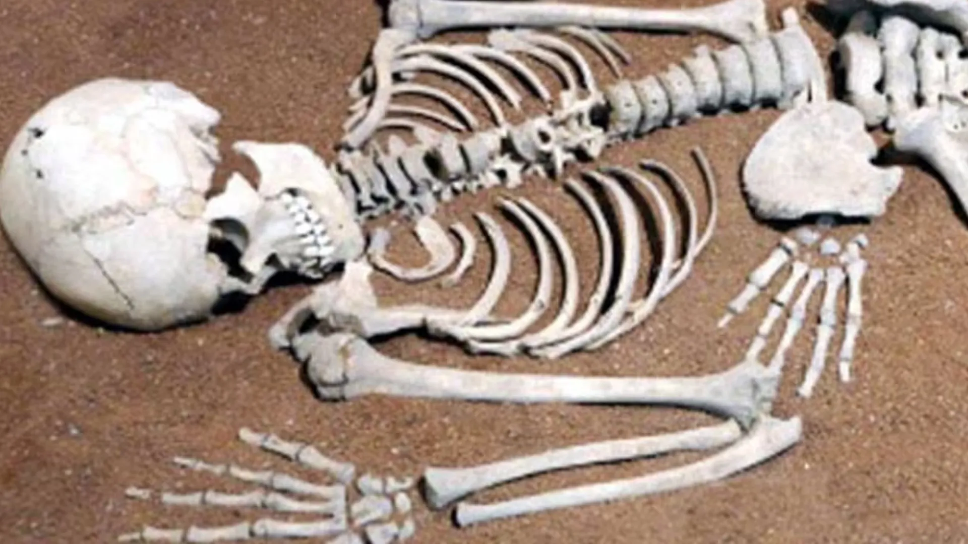 बदायूं : मेंथा फैक्ट्री में मिला कंकाल, जांच को भेजा गया नमूना