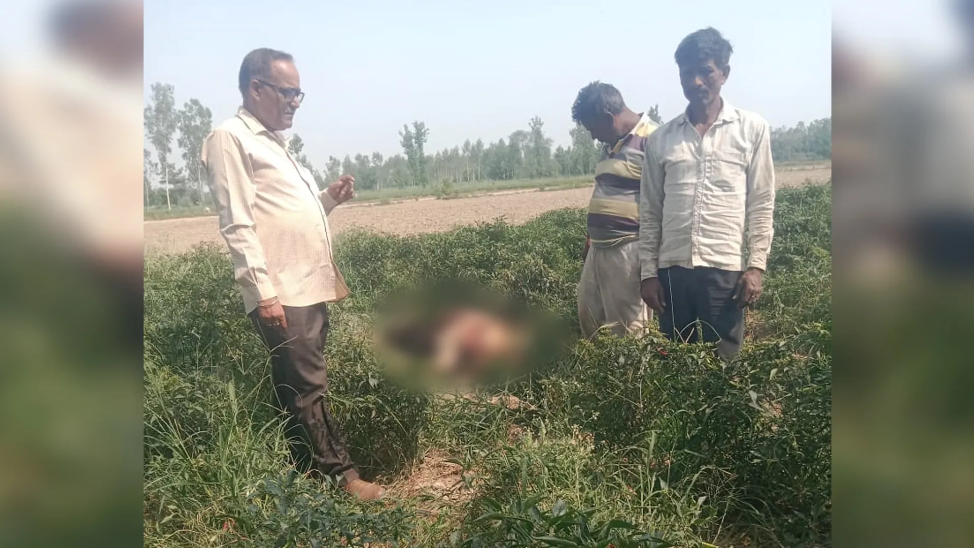 रामपुर : रहमतगंज के जंगल में तेंदुए ने किया बछड़े का शिकार, ग्रामीणों में दहशत