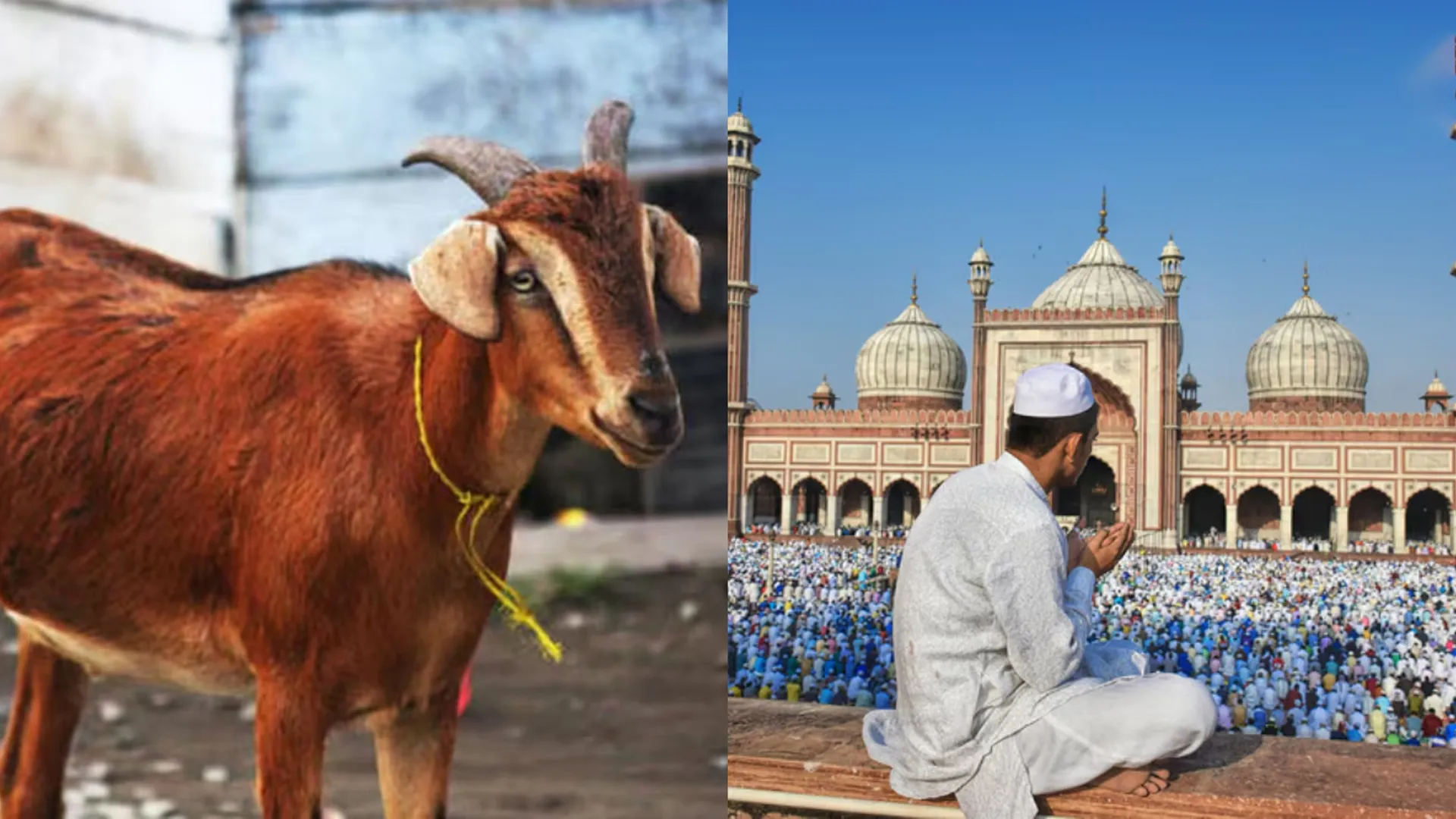 रामपुर : श्मशान घाट में बकरीद के दौरान मांस के टुकड़े पड़े देख आक्रोश