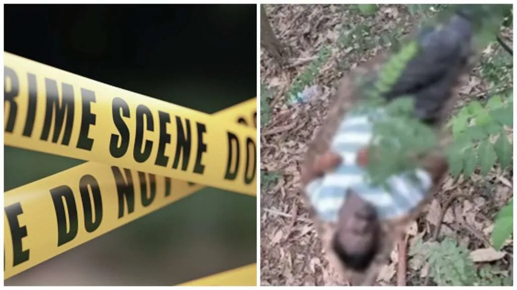 हल्द्वानीः जंगल में मिली प्रॉपर्टी डीलर की लाश