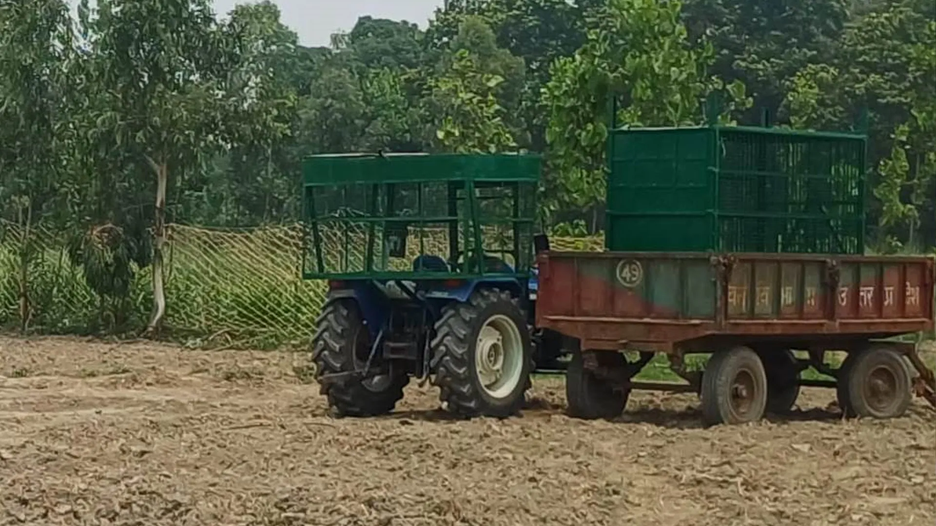 पीलीभीत: 50 घंटे से नहीं मिल सकी हमलावर बाघिन को लोकेशन, खाक छानती रहीं टीमें