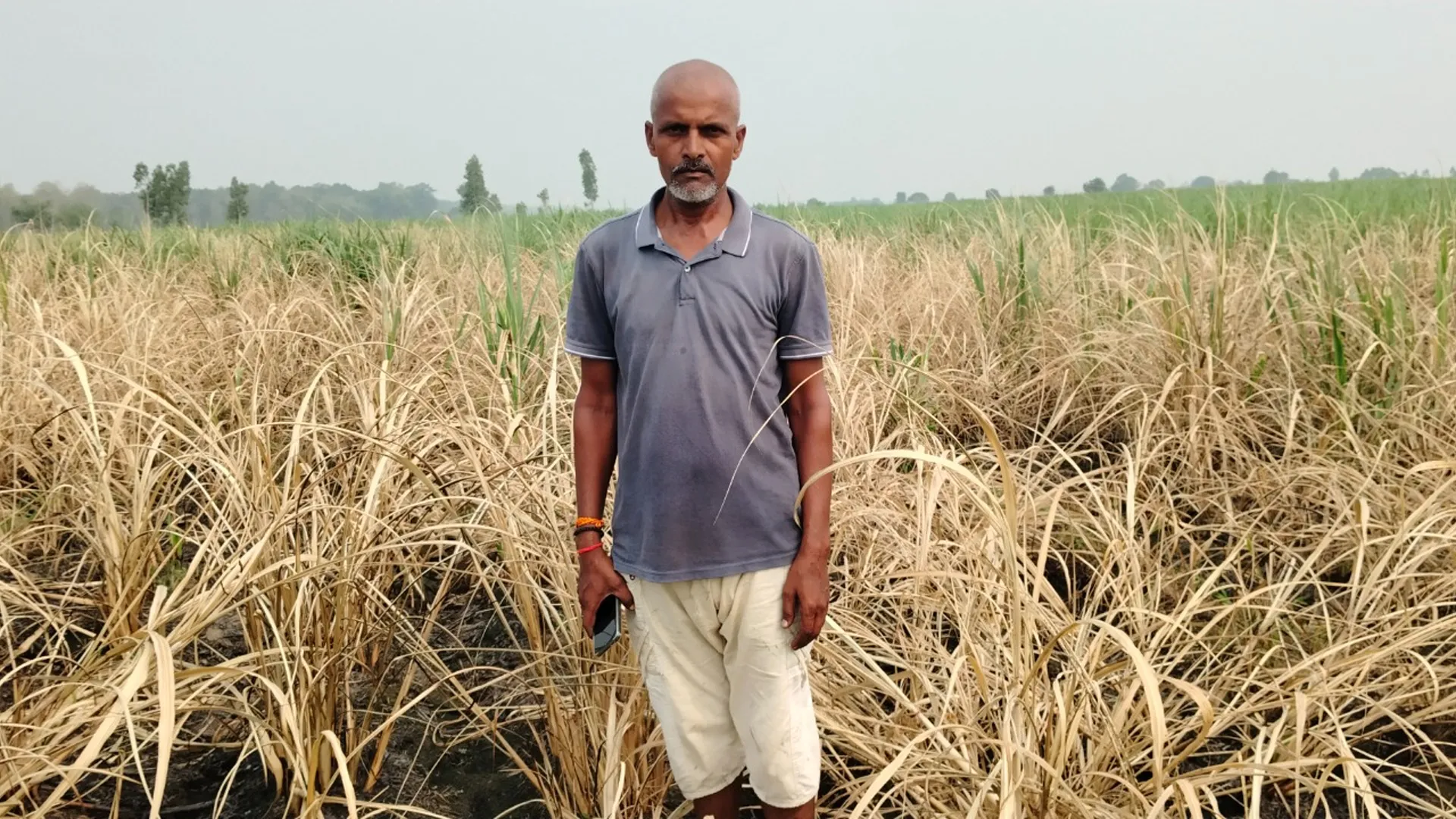 लखीमपुर खीरी : पराली जलाते समय भड़की आग से 13 बीघा गन्ने की फसल जली