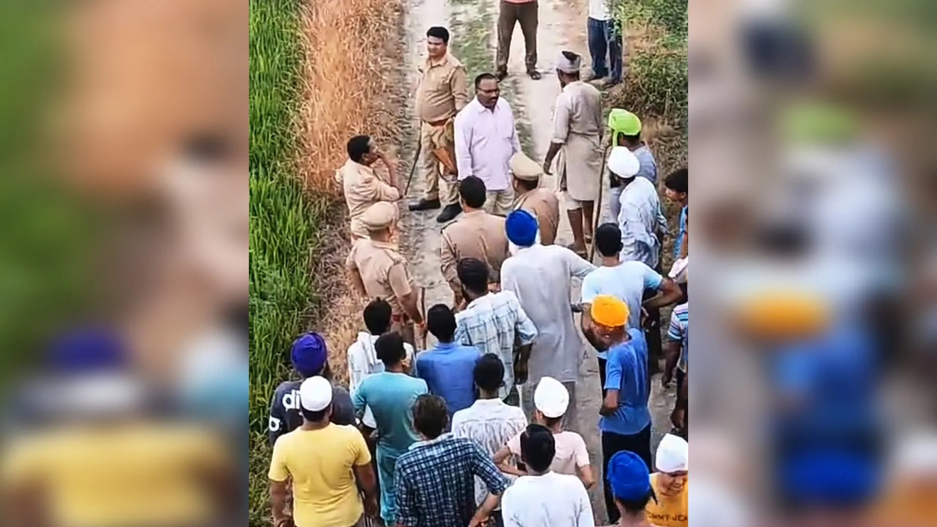 लखीमपुर खीरी : गोला रेंज में दो शावको के साथ खेतों में घूमते दिखाई दी बाघिन, क्षेत्र में दहशत का माहौल