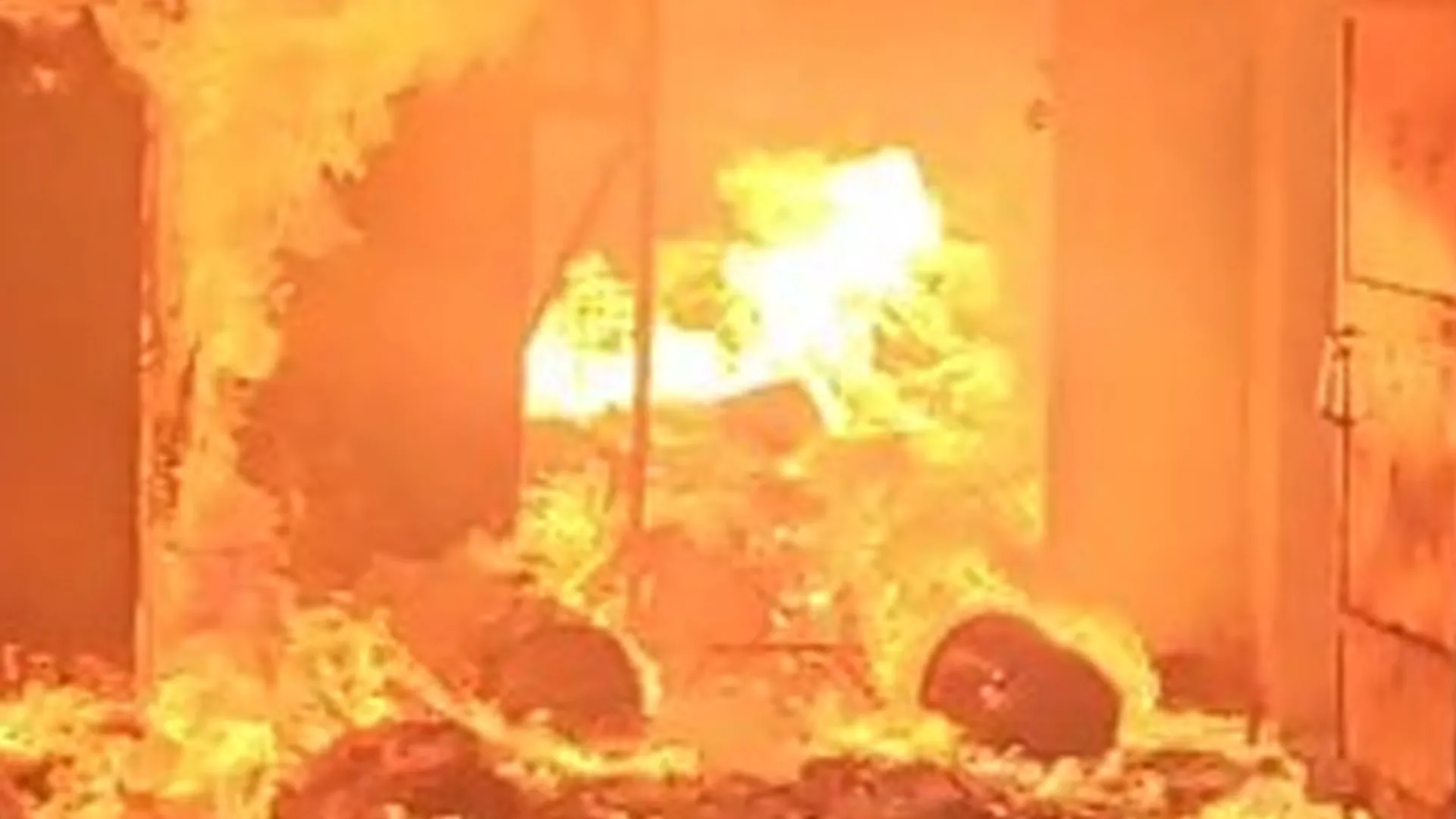 बिजनौर : पेंट के गोदाम में भीषण आग, लाखों का सामान राख