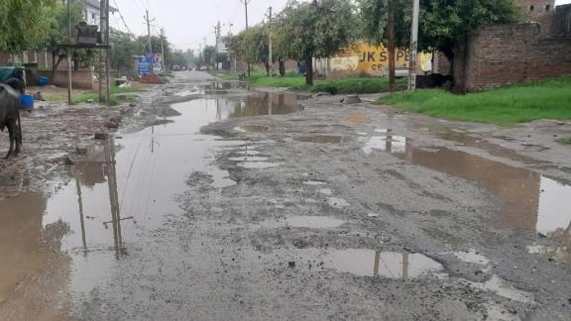 मुरादाबाद : गड्ढों में सड़क या सड़क में गड्ढ़े ढूंढना मुश्किल