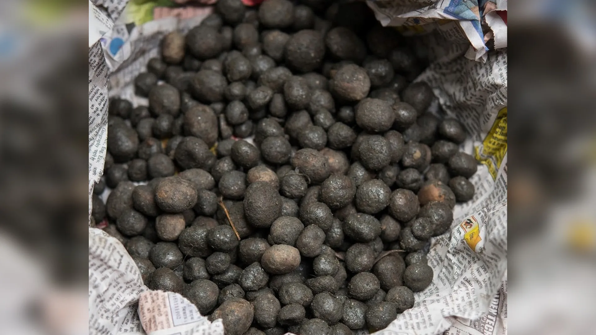 पीलीभीत: 1200 रुपये किलो बिक रहा कटरुआ, अब नींद से जागे पीटीआर के जिम्मेदार, जारी की एडवाइजरी