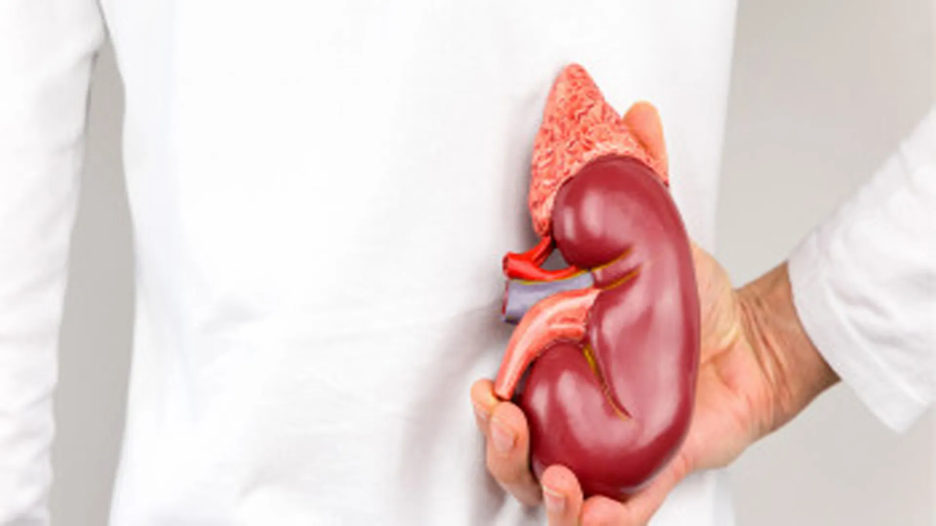 मुरादाबाद : कमजोर न समझो इन्हें, जीवन देती हैं नारियां