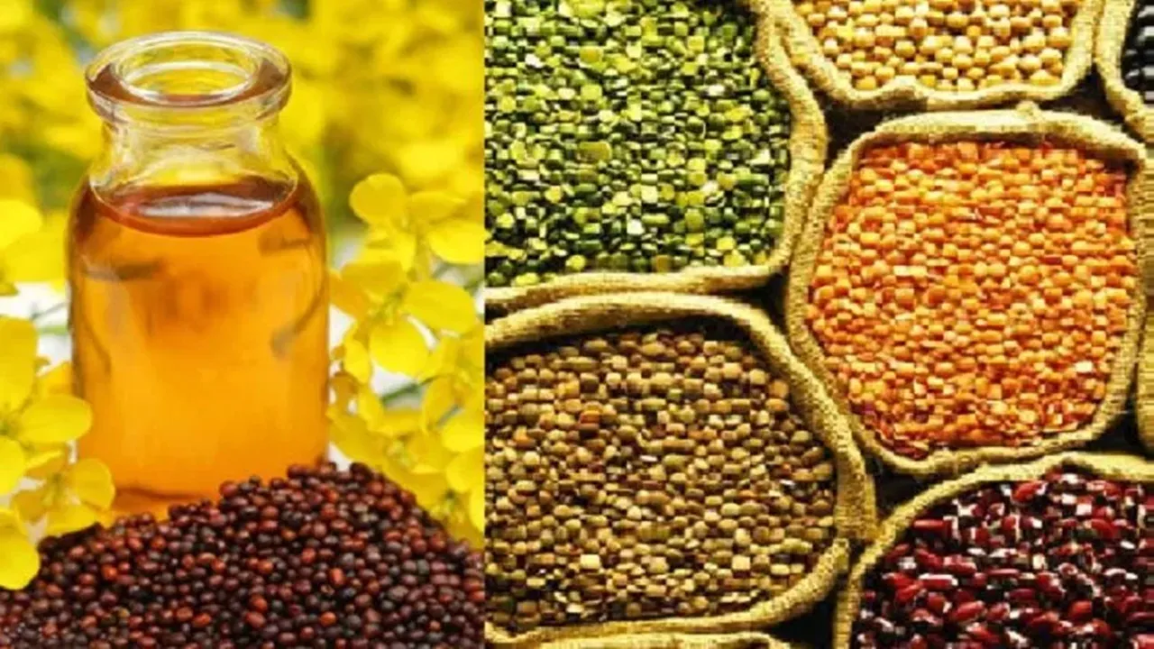 संसदीय समिति ने दालों-तिलहनों का आयात बढ़ने पर जताई चिंता, तो जानिए क्या बोली सरकार 
