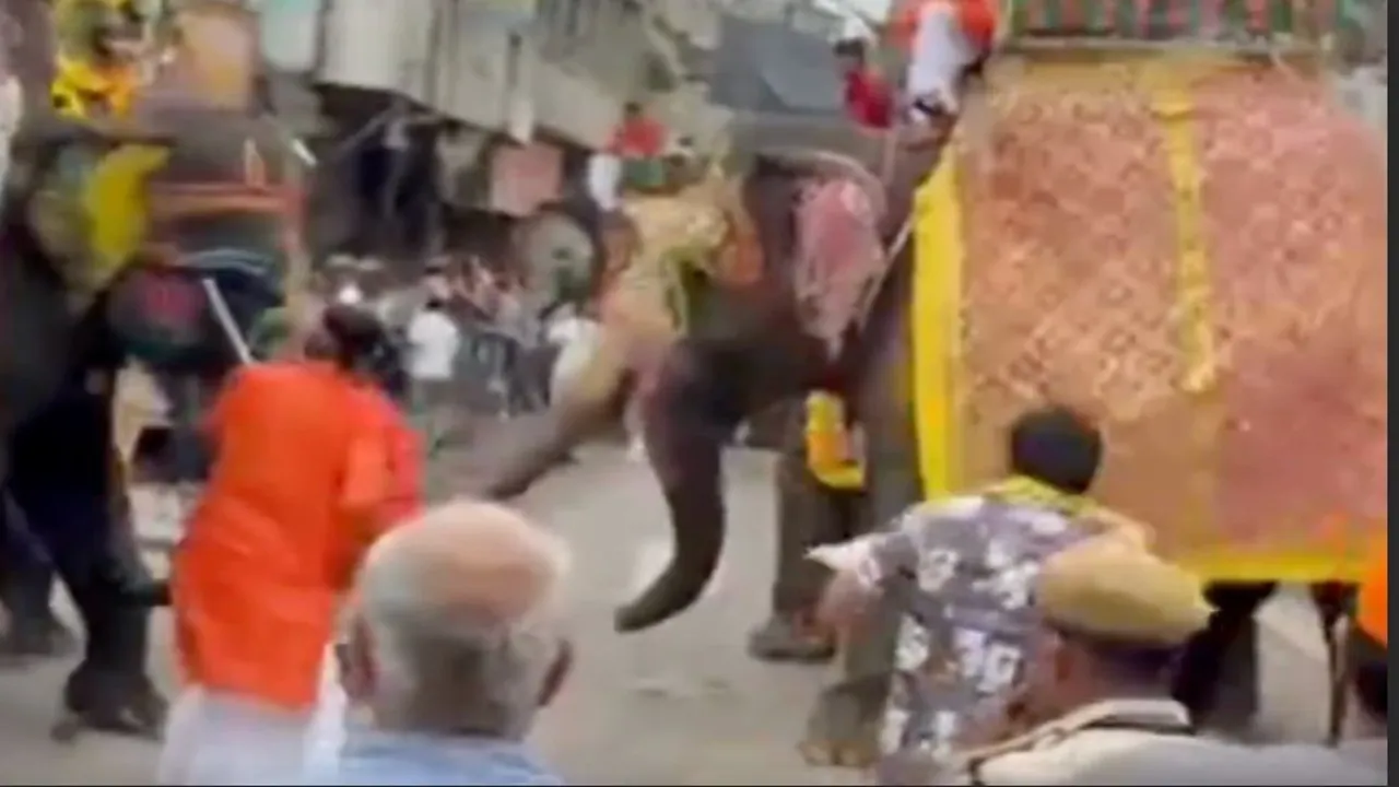 गुजरात: अहमदाबाद में रथ यात्रा के दौरान हाथी ने मचाया उत्पात, एक व्यक्ति घायल 