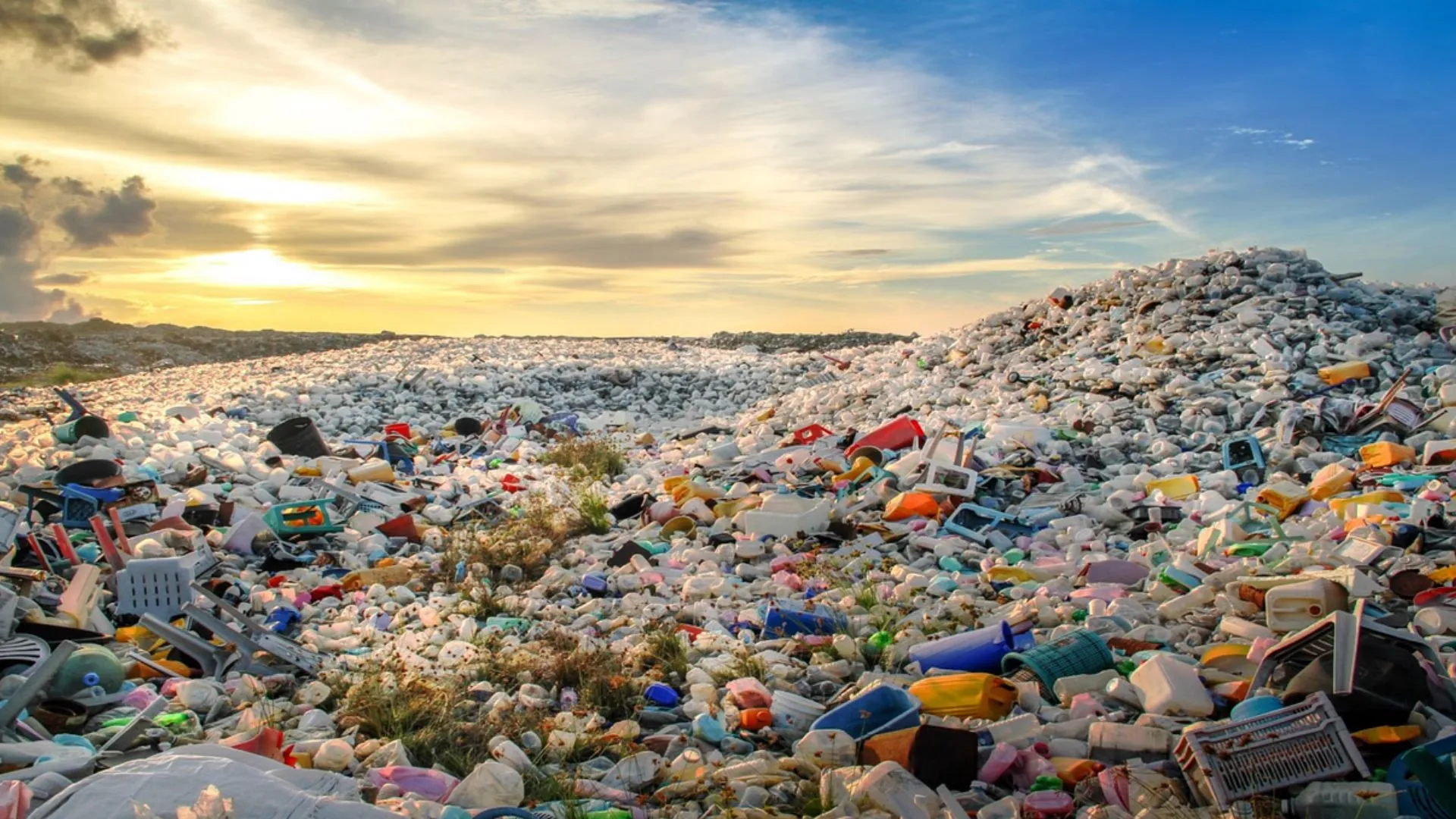 प्लास्टिक प्रदूषण रोकने का संकल्प, विश्व पर्यावरण दिवस पर राजधानी में अलग-अलग जगहों पर किया आयोजन 