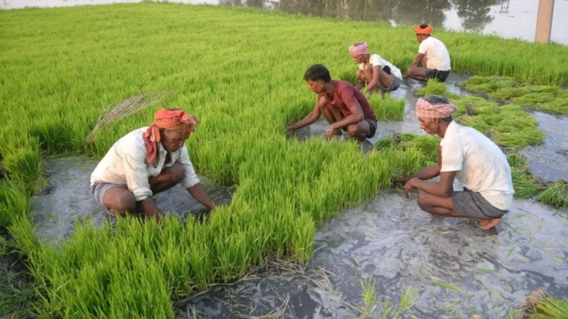 किसानों का संबल बनाएगी योगी सरकार, मुख्यमंत्री कृषक दुर्घटना कल्याण योजना की शुरुआत 