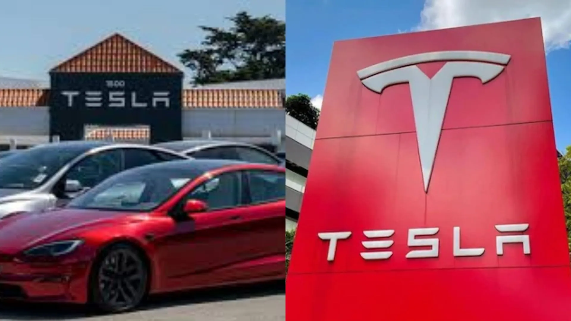 बिना ड्राइवर दौड़ेगी टेस्ला की रोबोटैक्सी, मस्क ने दिए संकेत, 22 जून से शुरू होगी Service