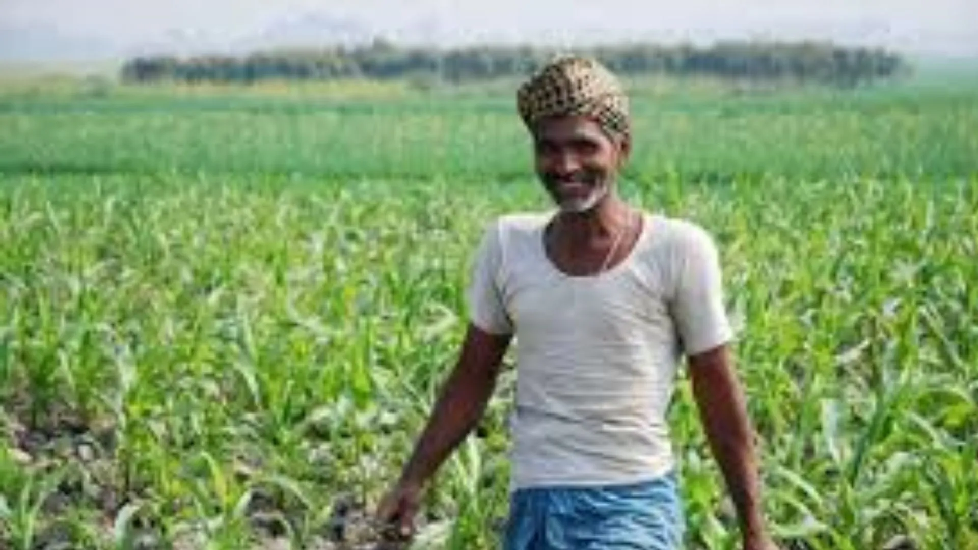 अच्छे मानसून से ग्रामीण अर्थव्यवस्था में नई जान, 10-15 प्रतिशत कृषि क्षेत्र में आय वृद्धि की उम्मीद