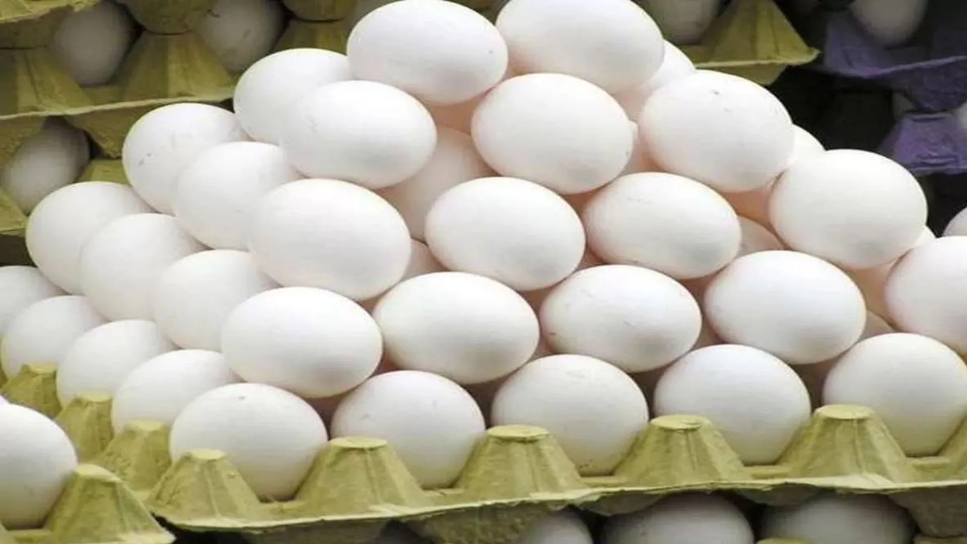 लखनऊ में बढ़ा अंडा उत्पादन, कम हुई अन्य राज्यों से निर्भरता, हर माह बढ़ रही क्षमता