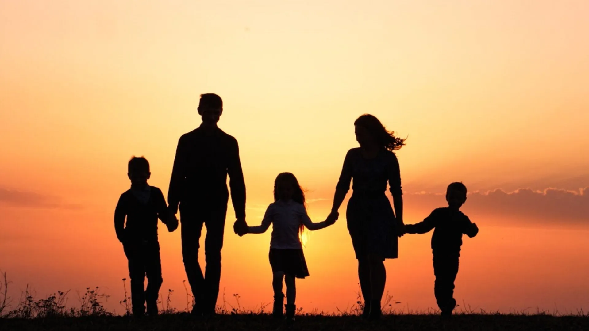 Family ID बनाने में लखनऊ समेत पांच जिले फिसड्डी साबित, प्रदेश भर में 43,679 आवेदन पेंडिंग 