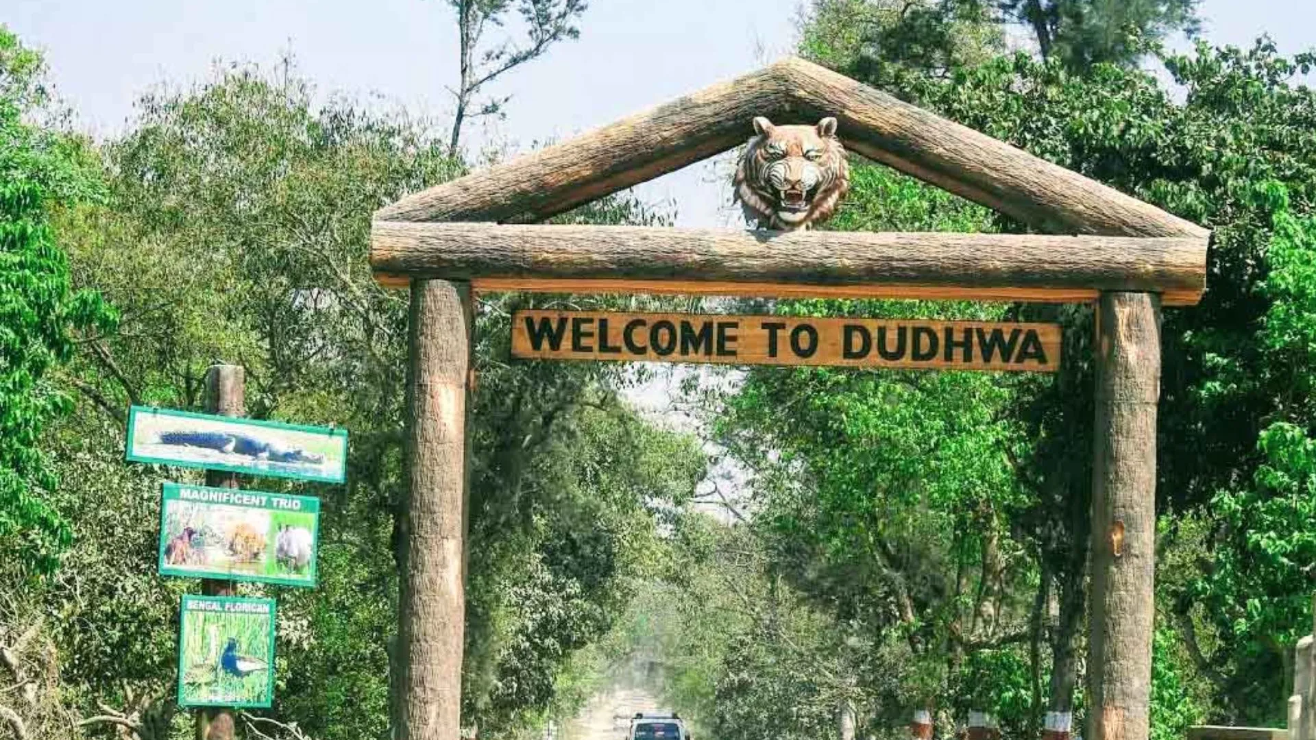 यूपी में पर्यटकों के लिए पहली बार खुला रहेगा जंगल सफारी, दुधवा के मोहम्मदी रेंज का मानसून में भी उठा सकेंगे लुफ्त