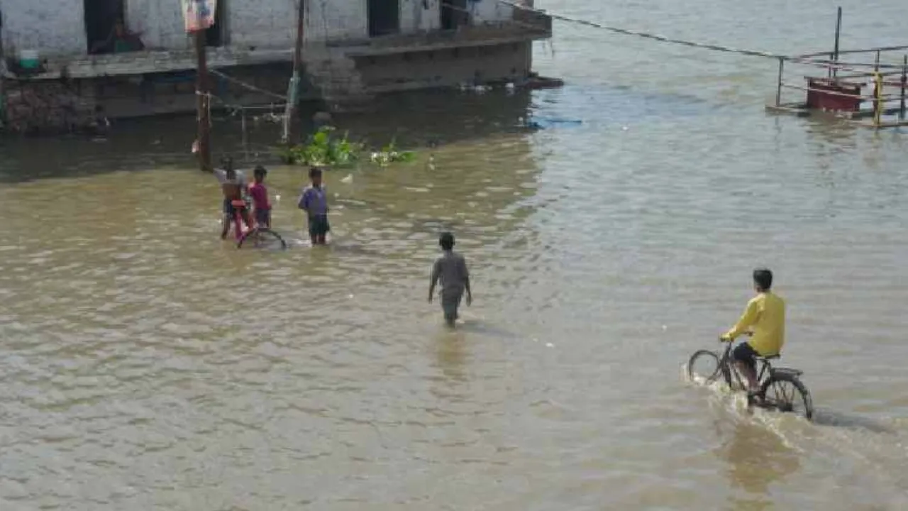  कानपुर : बाढ़ से बचाव का तरीका बताने को सरसैया घाट पर आपदा का मॉकड्रिल